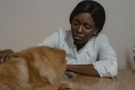 Veterinary worker with dog.