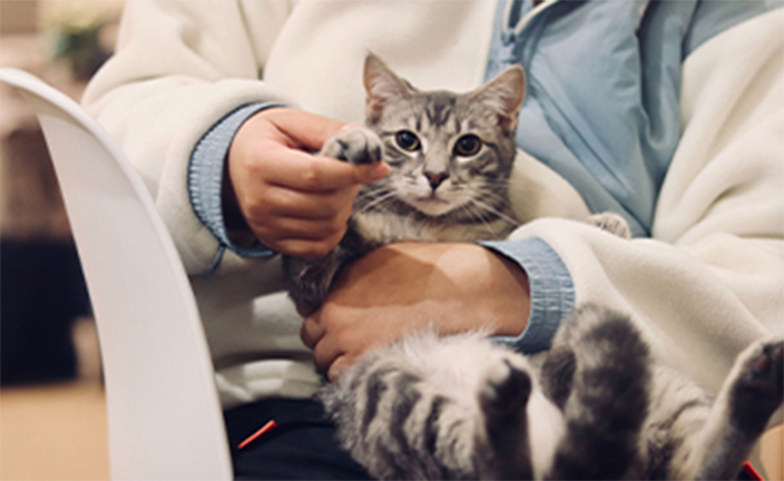 Veterinarian with cat.