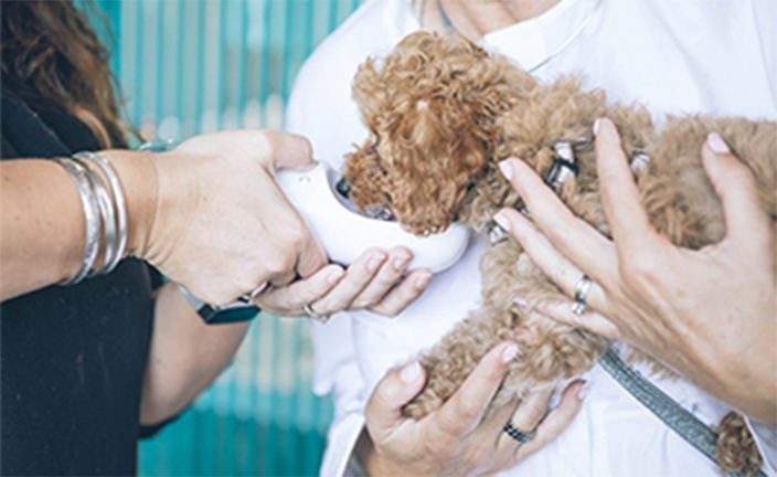 People feeding puppy.