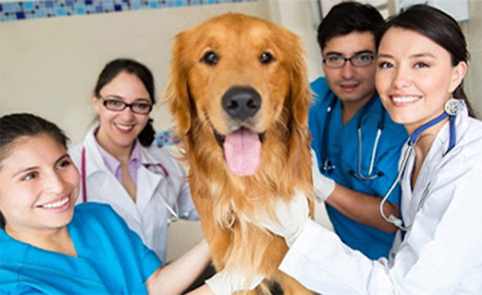 Veterinary team with happy dog.