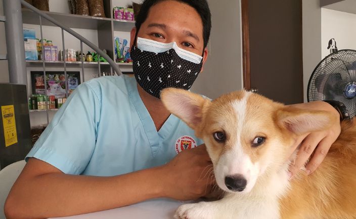 vet tech with corgi puppy.