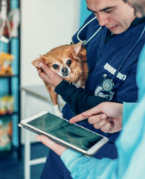 A veterinary telehealth appointment.